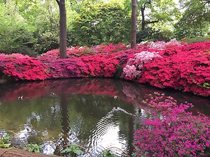 Qualifications. Isabella Plantation